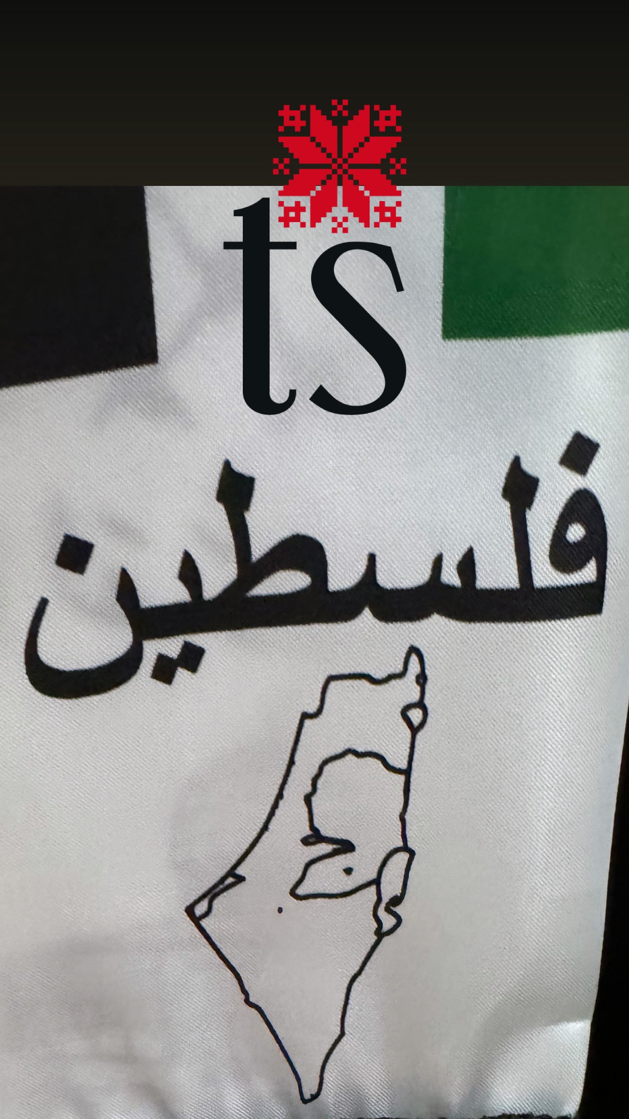 Palestine Flag Solidarity Scarf